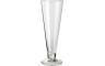 SET BEERGLASS PILSNER