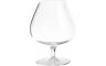 SET COGNAC