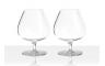 SET COGNAC