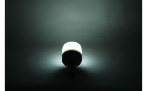 GLOBE LED