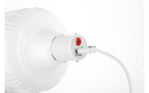 GLOBE LED