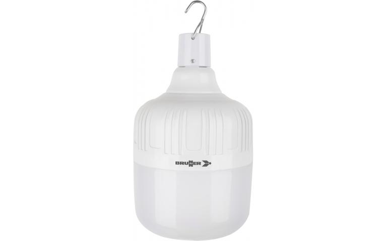 GLOBE LED