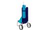 BEACH CART NG