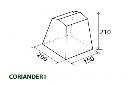 CORIANDER