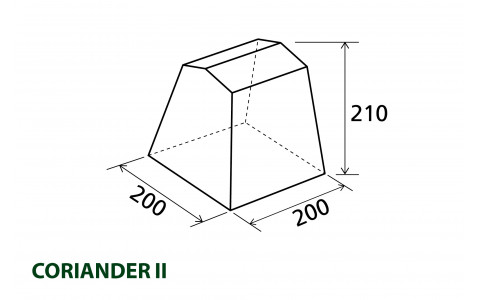 CORIANDER