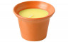 CITRONELLA CANDLE